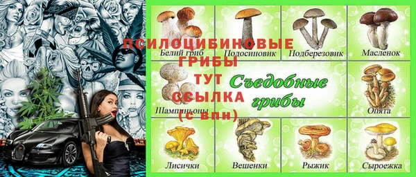 шишки Вяземский