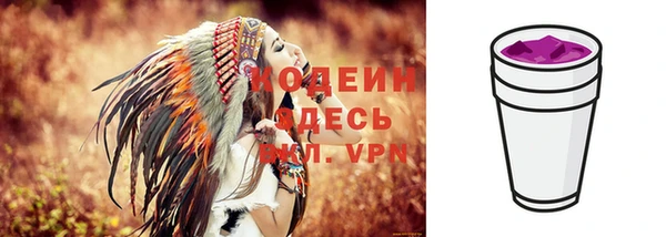 индика Вязники