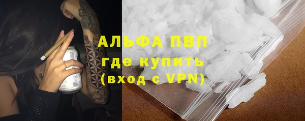 индика Вязники
