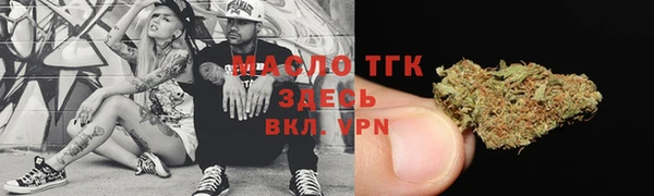 индика Вязники