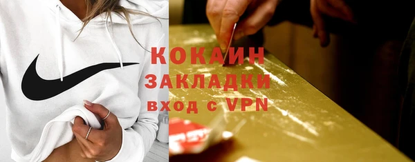 индика Вязники