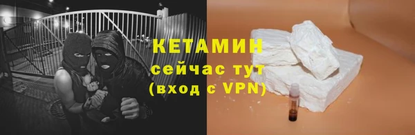 шишки Вяземский