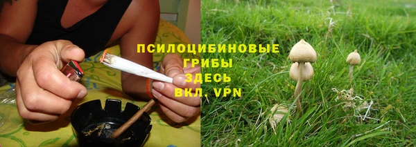 шишки Вяземский