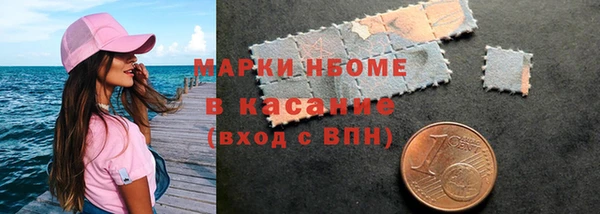 шишки Вяземский