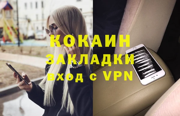 шишки Вяземский